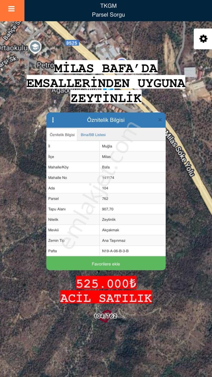 Milas Bafa Satılık Zeytinlik Milas bafa da yatırımlık zeytinlik