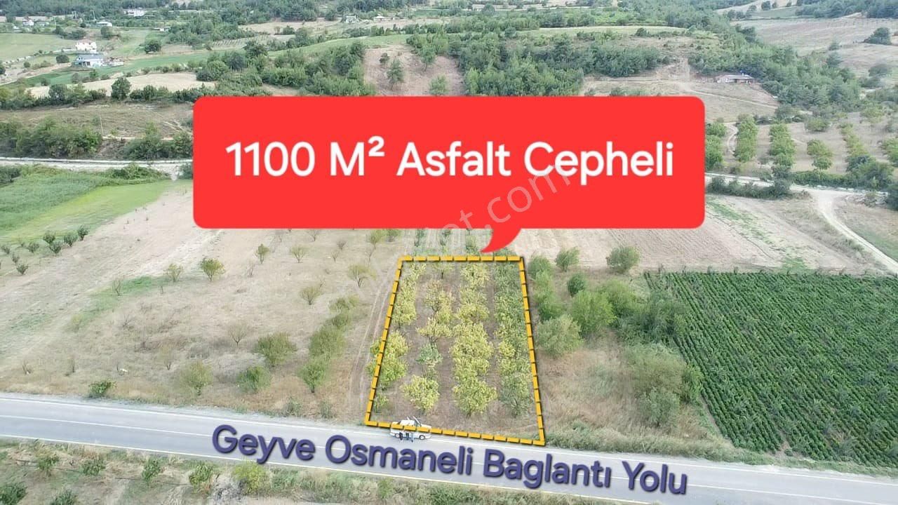 Geyve Kozan Satılık Tarla ÖMER EMLAKTAN ASFALT YOLA CEPHE FIRSAT ARAZİSİ