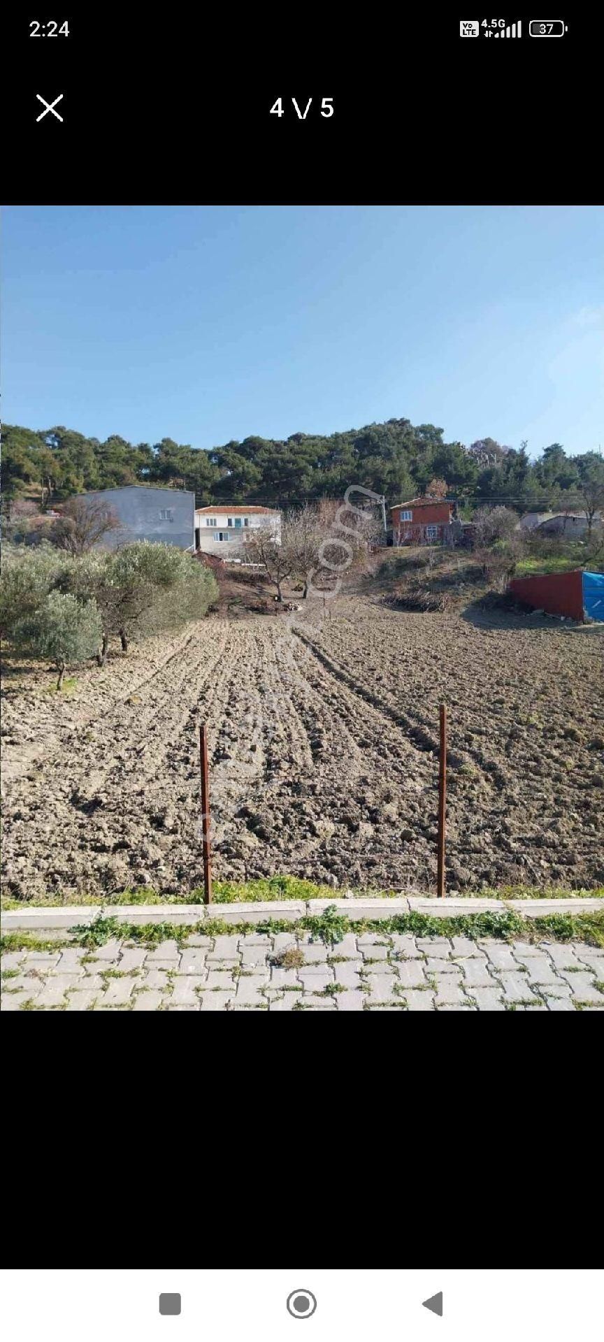 Kırkağaç Alifakı Satılık Tarla kırkağaç alifakı köyünde merkezi konumda arsa