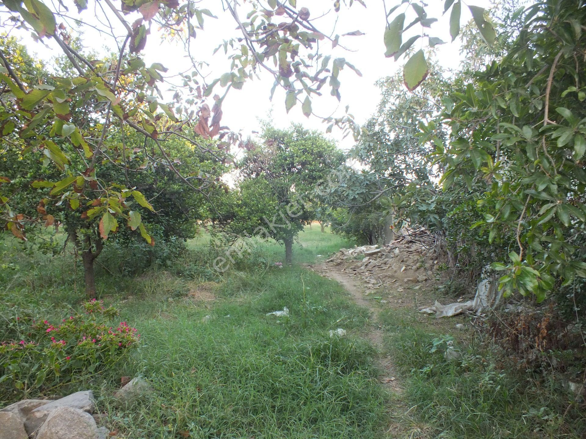 Durasıllı Mahallesinde Satılık Arsa - Görsel 5