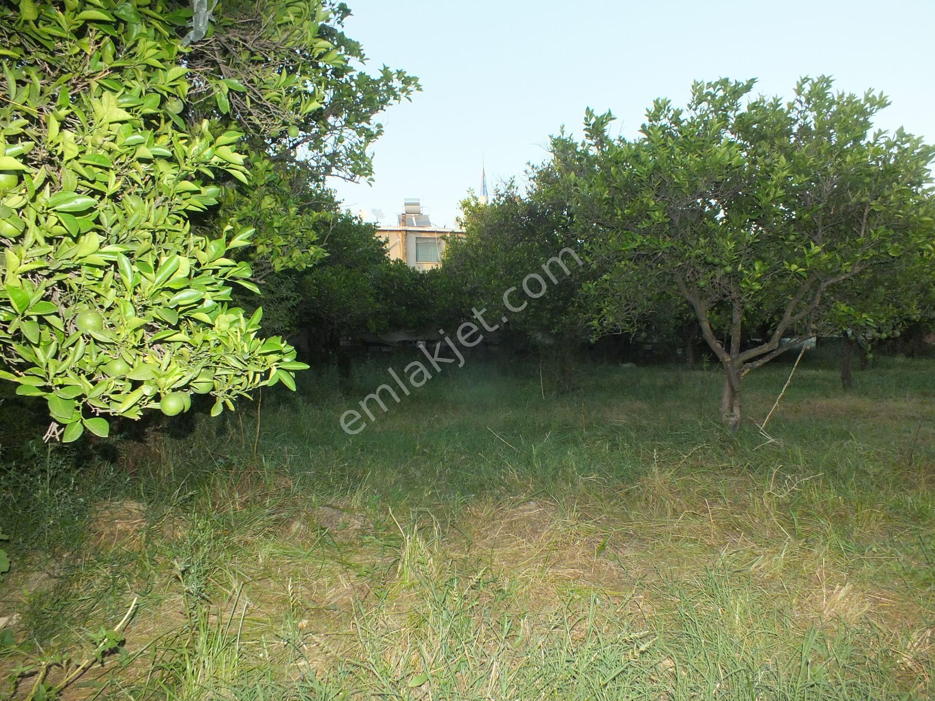 Durasıllı Mahallesinde Satılık Arsa - Görsel 9