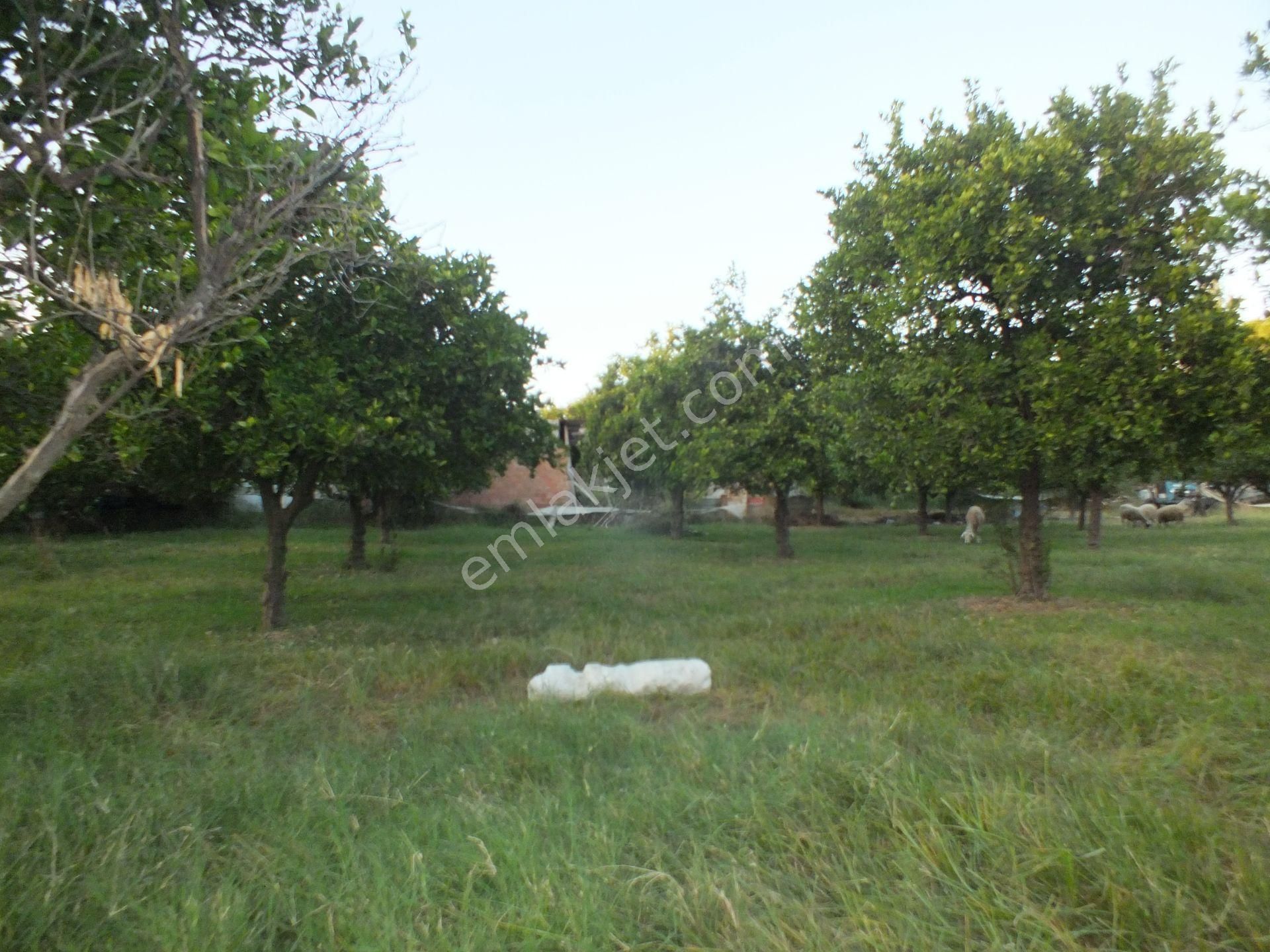 Durasıllı Mahallesinde Satılık Arsa - Görsel 12