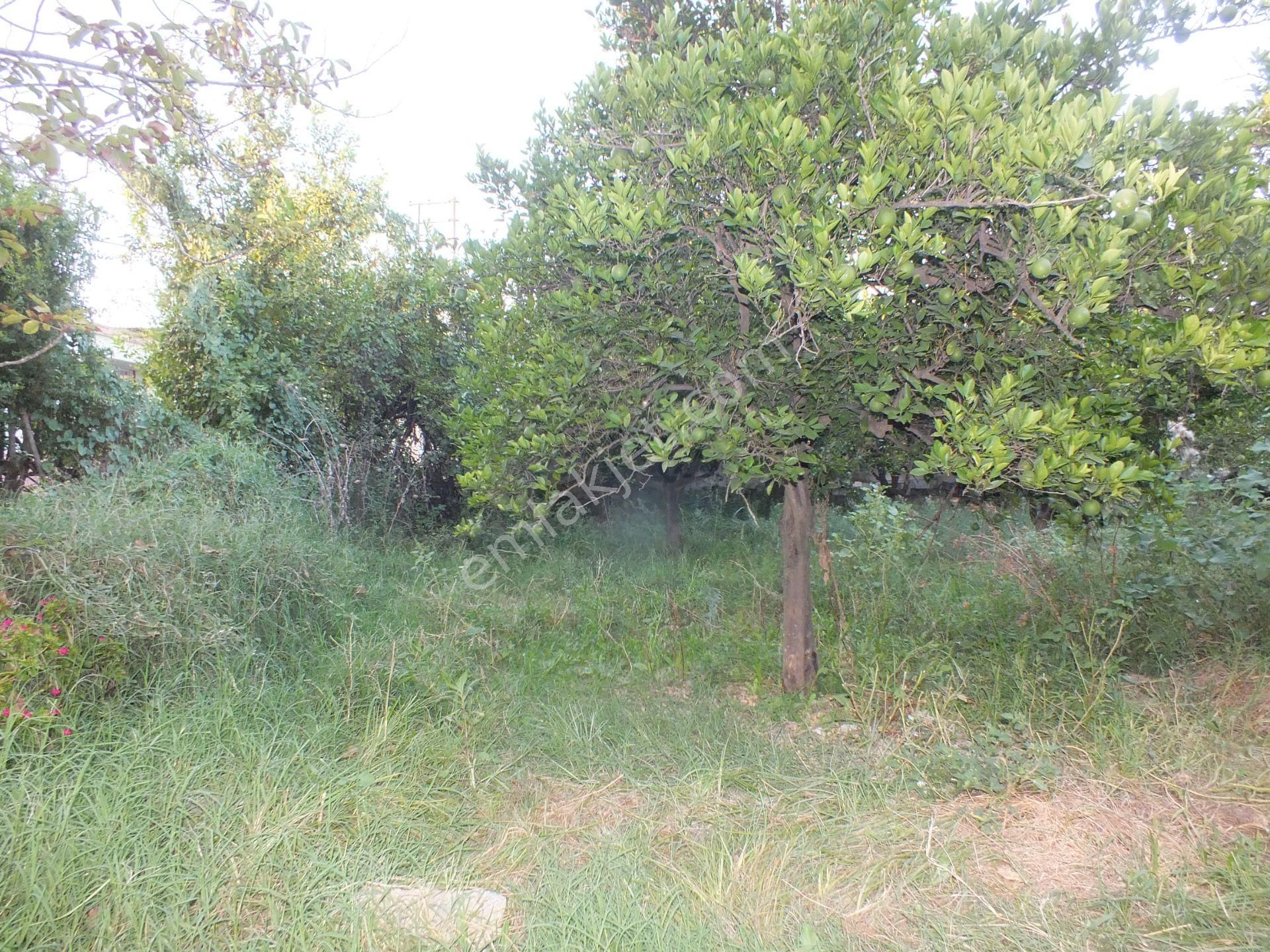 Durasıllı Mahallesinde Satılık Arsa - Görsel 7