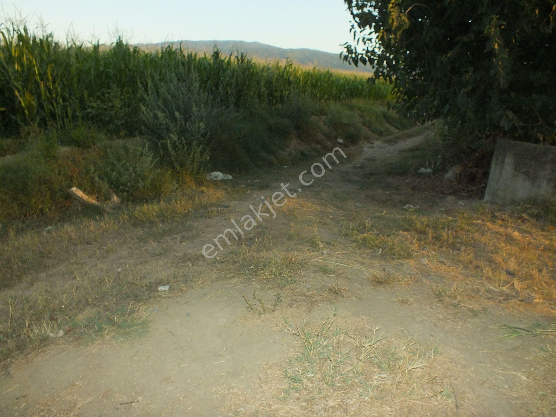 Durasıllı Mahallesinde Satılık Arsa - Görsel 2