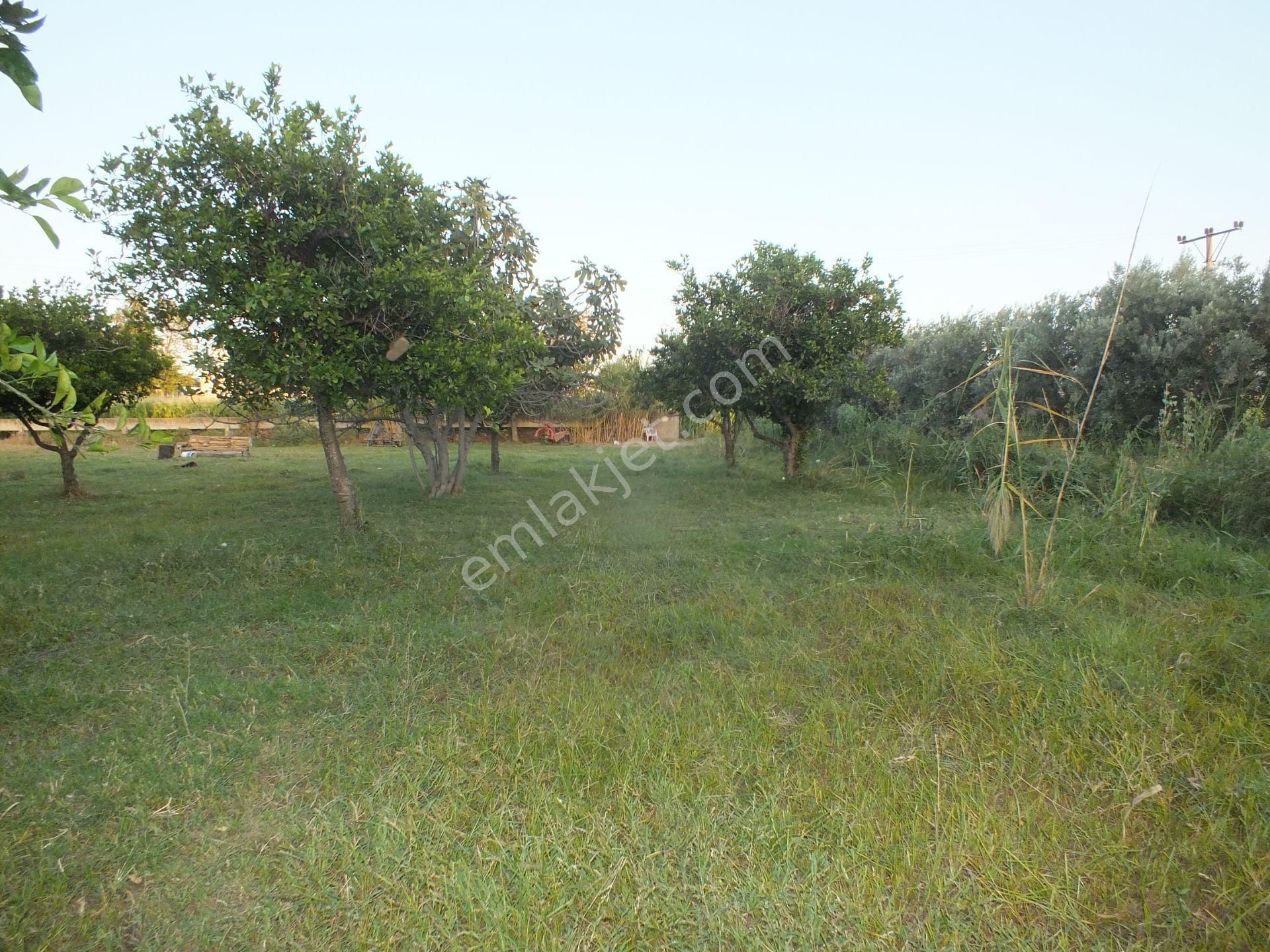 Durasıllı Mahallesinde Satılık Arsa - Görsel 4