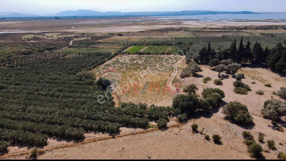 Söke Doğanbey Satılık Tarla Ege Bölgesi'nde Aydın Söke Doğanbey Mahalle'sinde Satılık 8.904 M2 Tarla