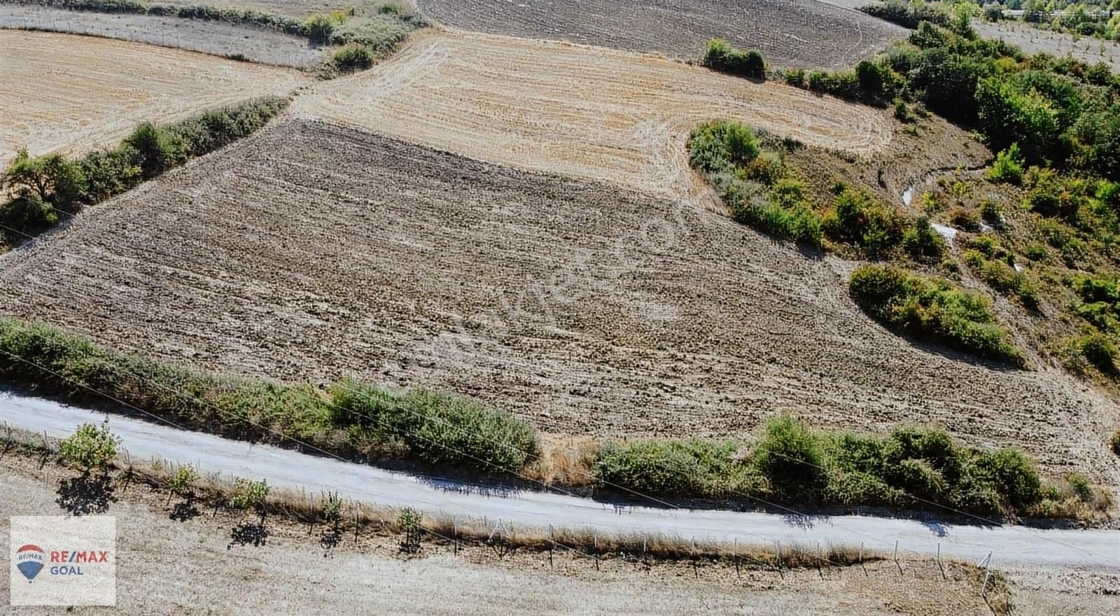 Yalova Merkez Sugören Köyü (Merkez) Satılık Tarla YALOVA MERKEZ SUGÖREN KÖYÜNDE ANAYOLA YAKIN GENİŞ TARLA