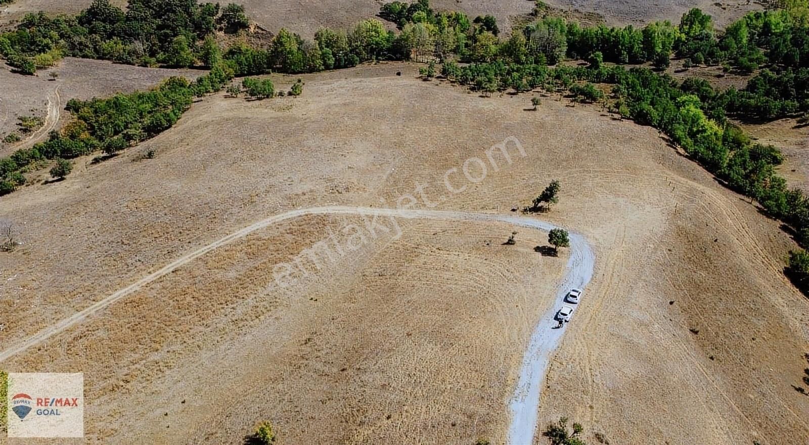 Yalova Merkez Güneyköy Köyü (Merkez) Satılık Tarla YALOVA MERKEZ GÜNEYKÖY'DE ANAYOLA YAKIN GENİŞ TARLA