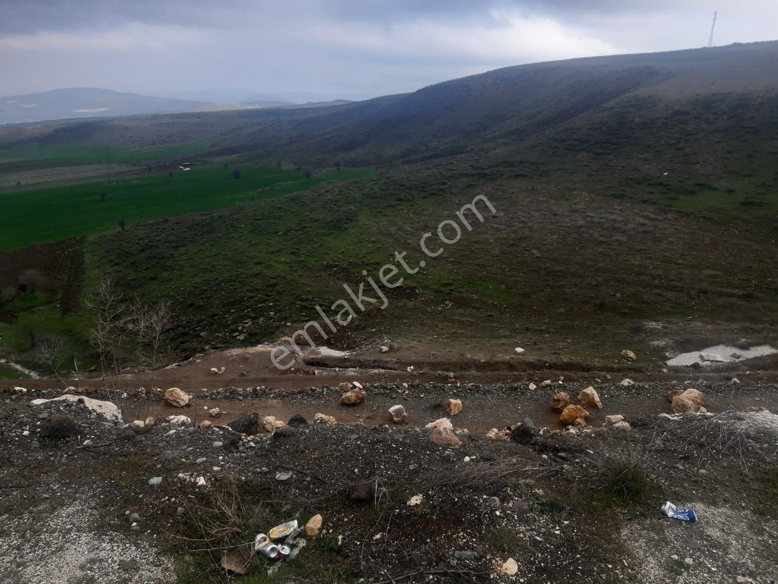 Pertek Yeniköy Köyü Satılık Bağ & Bahçe Pertek Tunceli yolu kenarında 