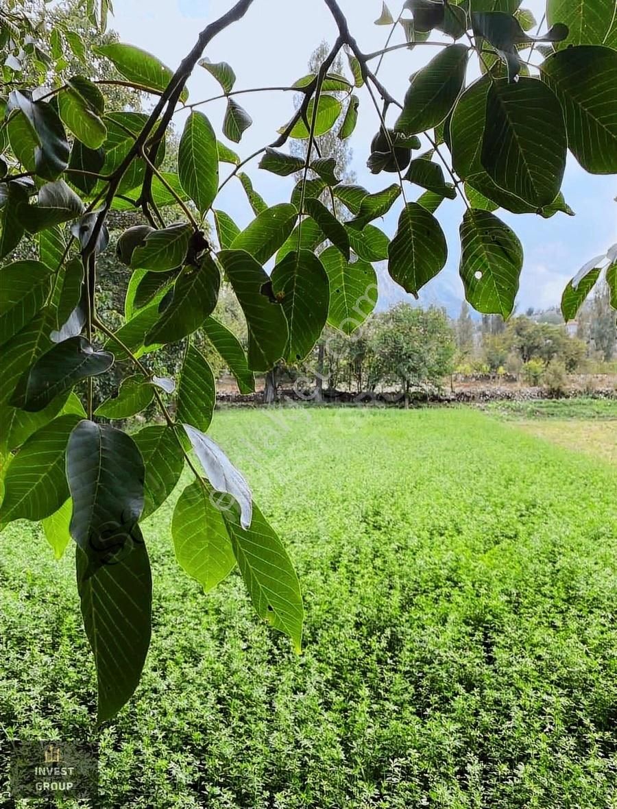 Burdur Merkez Akyayla Köyü (Cami) Satılık Tarla BURDUR MERKEZ AKYAYLA'da 918m2 TARLA BU FİYATA YOK!!