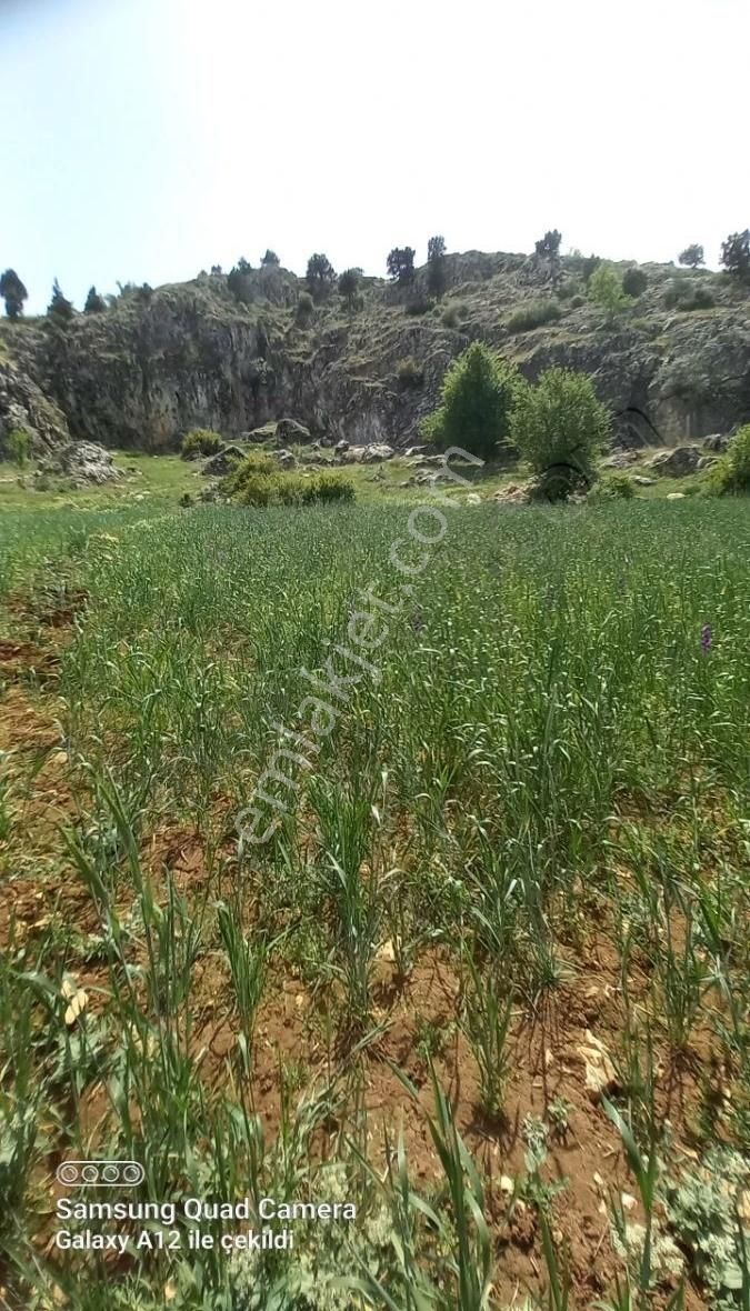 Burdur Kayış Satılık Tarla Yola 300 Metre - Görsel 2