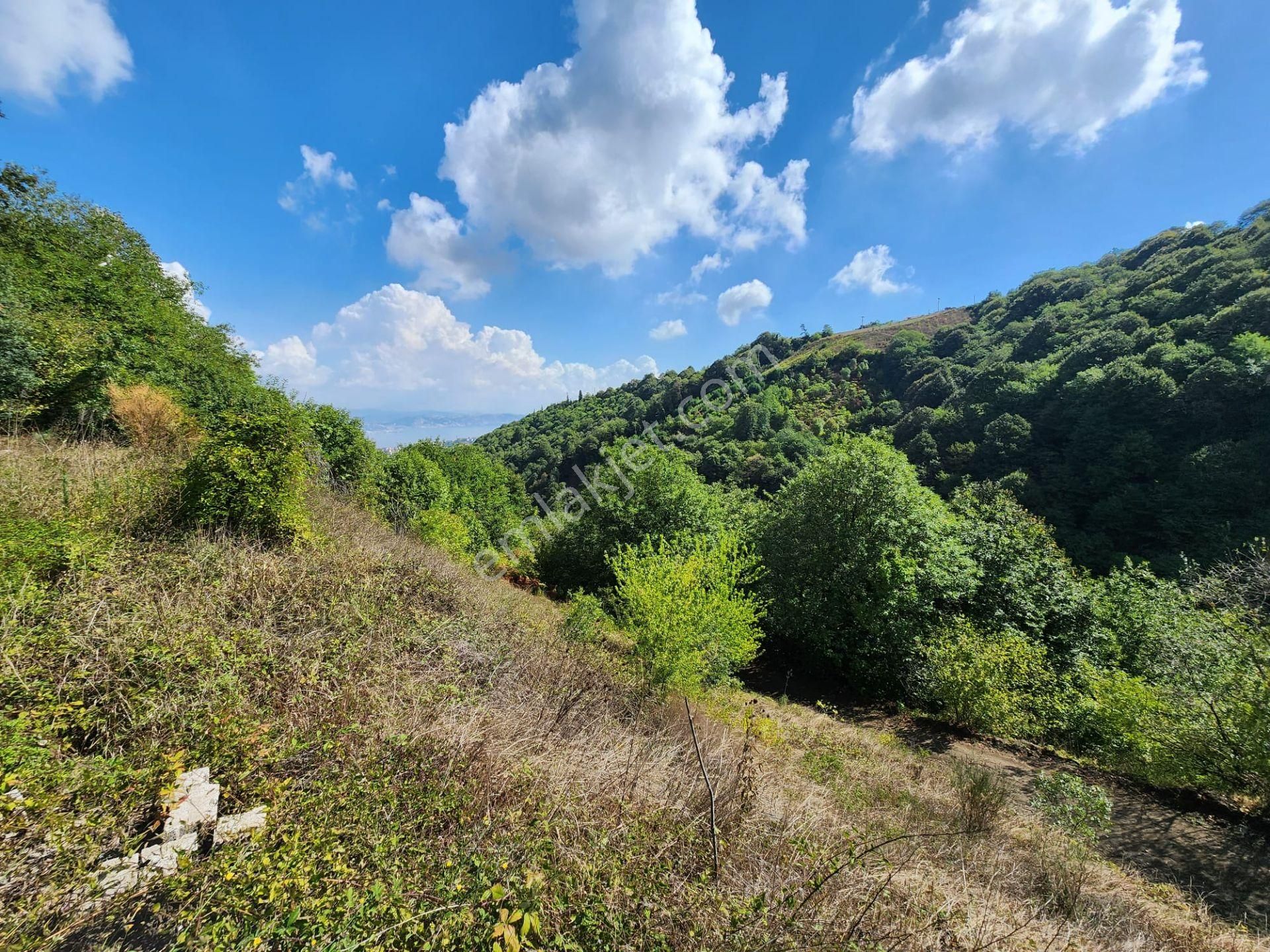 Gölcük Saraylı Satılık Bağ & Bahçe  KOCAELİ GÖLCÜK SARAYLI DENİZ MANZARALI SATILIK 10900 M2 BAHÇE