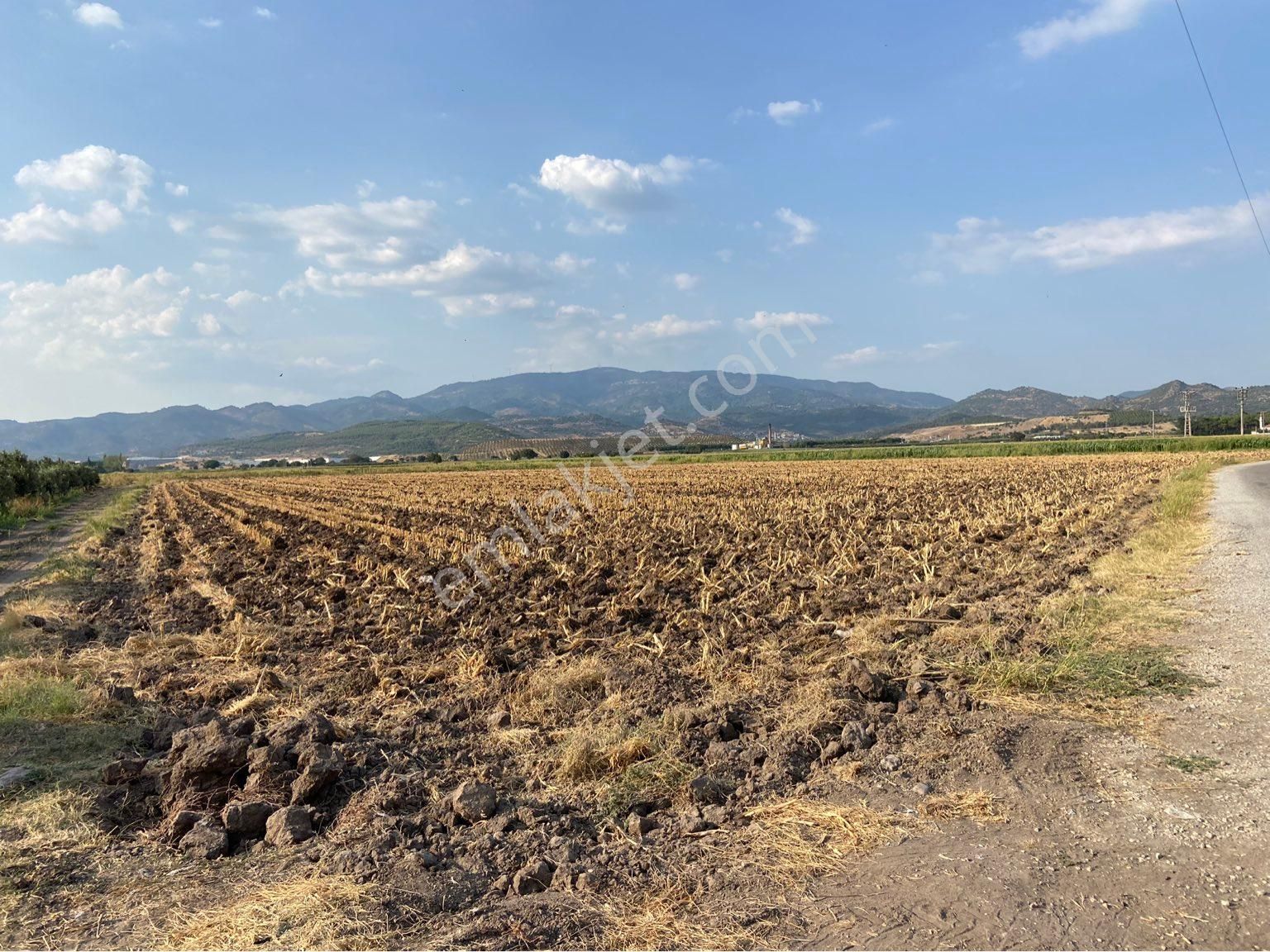 Bergama Süleymanlı Satılık Tarla SAHİBİNDEN VERİMLİ ANA YOLA VE YERLEŞİME YAKIN SERBEST BÖLGE İÇERİSİNDE TARLA