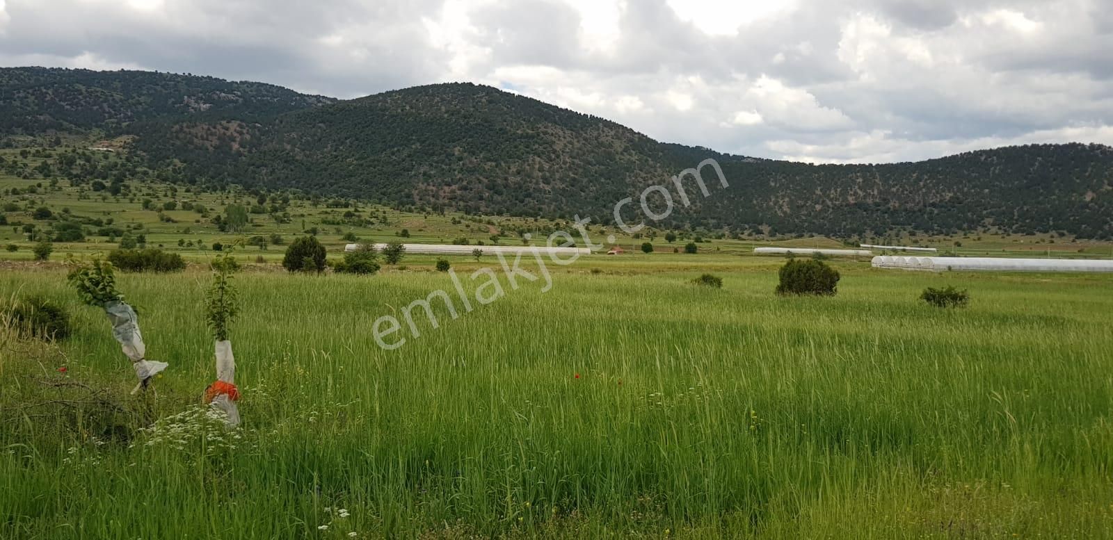 İstanbul Emlaktan Seydikemer Doğanlarda 1.313m2 Yatırımlık Tarla - Görsel 2