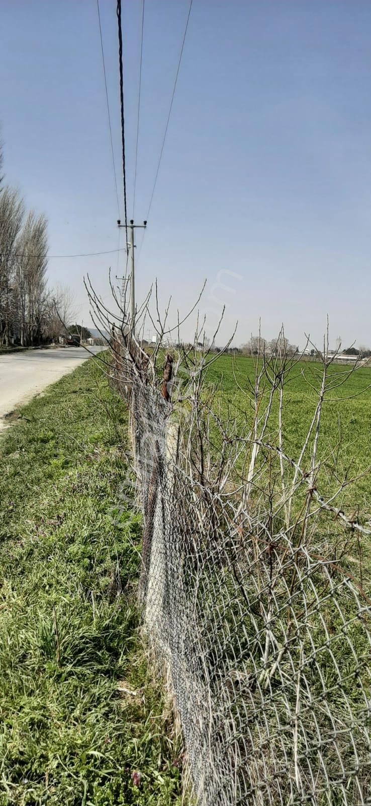 Çatalca İzzettin Satılık Tarla Kemalist Gayrimenkul'den, Çatalca'da, Kadastral Yola Cepheli, Tek Tapu, 1.722 M2