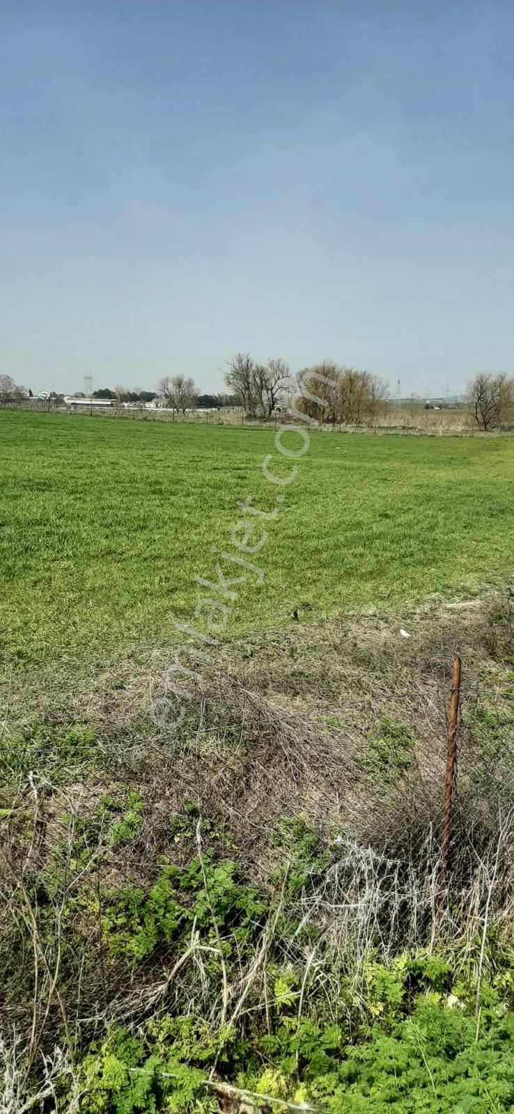 Kemalist Gayrimenkul'den, Çatalca'da, Kadastral Yola Cepheli, Tek Tapu, 1.722 M2 - Görsel 7