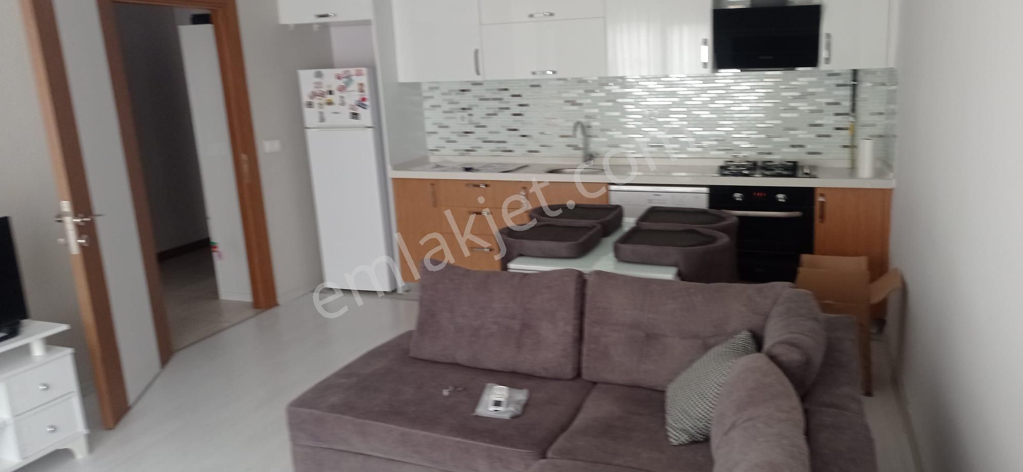 Edirne Merkez Fatih Kiralık Daire  EDİRNE MERKEZ FATİH MAHALLESİNDE ALİVA REZİDANS'TA KİRALIK 1+1 DAİRE