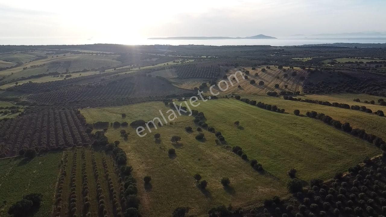 Ezine Körüktaşı Köyü (Kestanbol Kaplıcası) Satılık Tarla  ÇANAKKALE'DE BOZCAADA MANZARALI FIRSAT TARLA