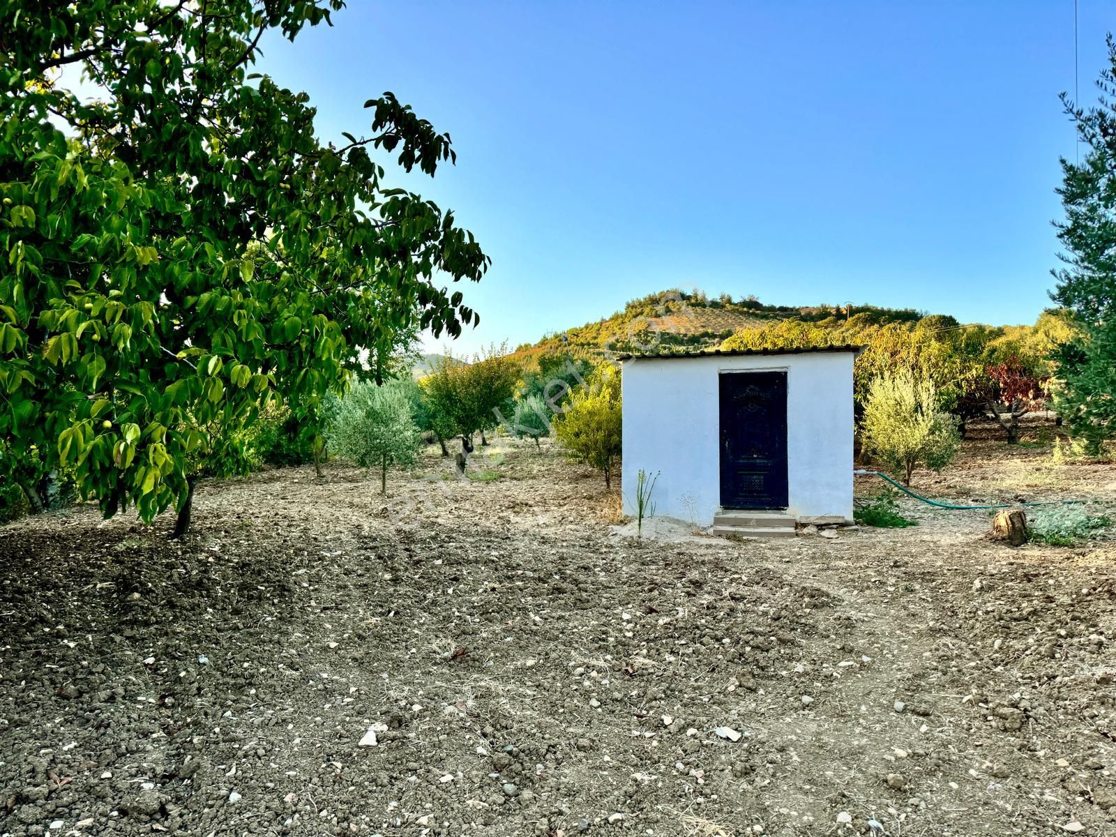 Yunusemre Avdal Satılık Bağ & Bahçe Manisa Avdal 'da Asfalta Sıfır , 3.000 M2 , Elektrik - Su - Sondaj Mevcut