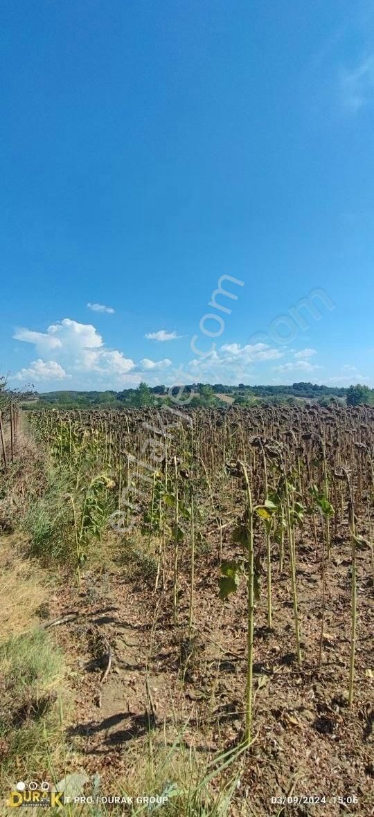 Mudanya Çekrice Satılık Tarla DURAK GROUP'TAN MUDANYA ÇEKRİCE KÖYÜNDE FIRSAT ARAZİ