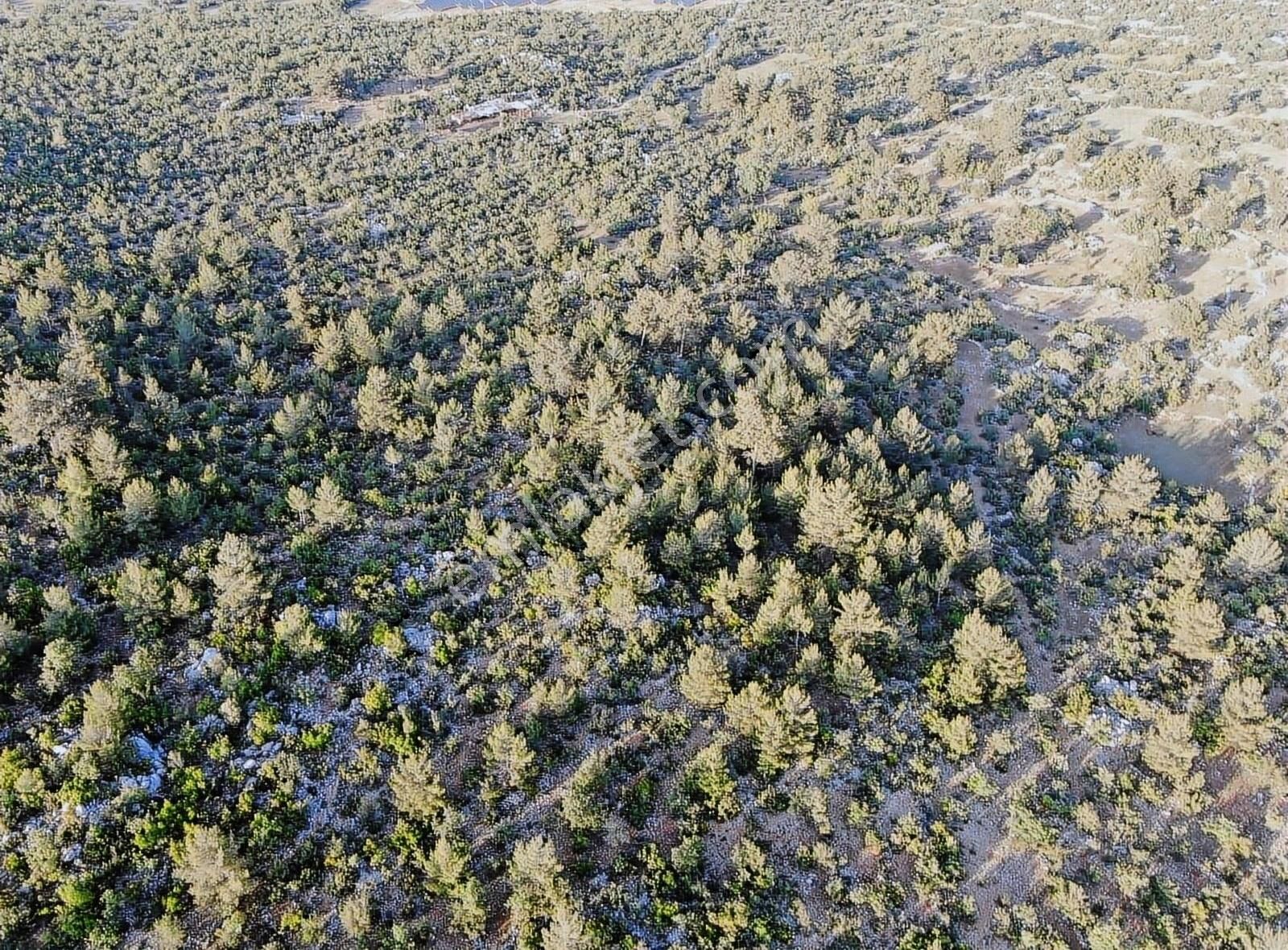 Alanya Karamanlar Satılık Tarla Alanya Karamanlar Mah. Yatırıma Uygun Satılık 25.000 m2 Tarla