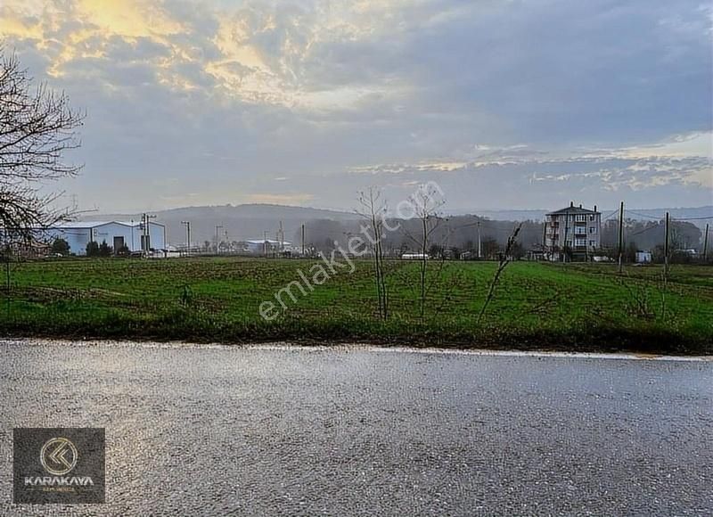 Denizli Köyünde 3600m² Kiralık Arsa