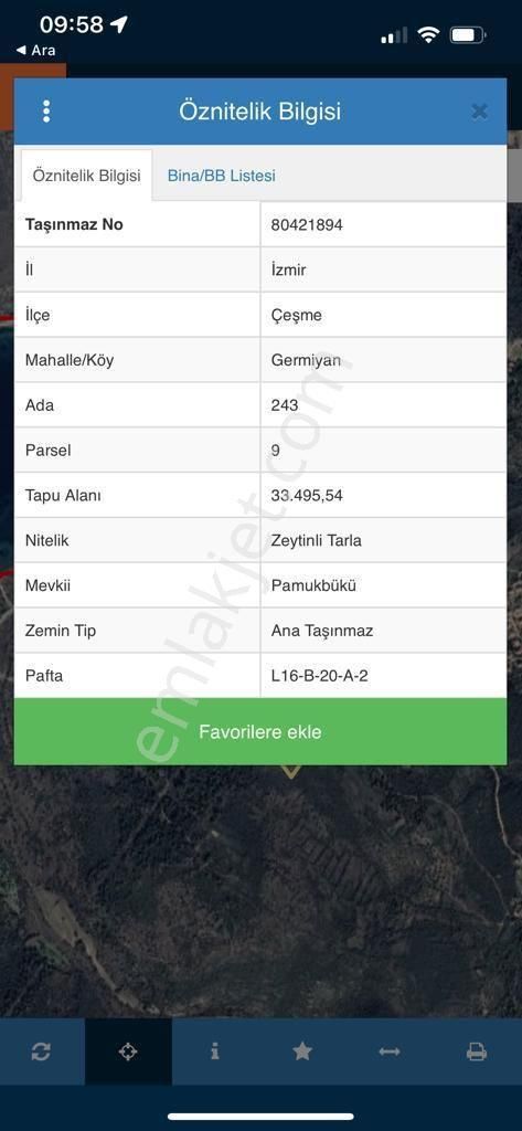 Çeşme Germiyan Satılık Zeytinlik Çeşme gelmeyen de 304 metre satılık zeytin tarlası