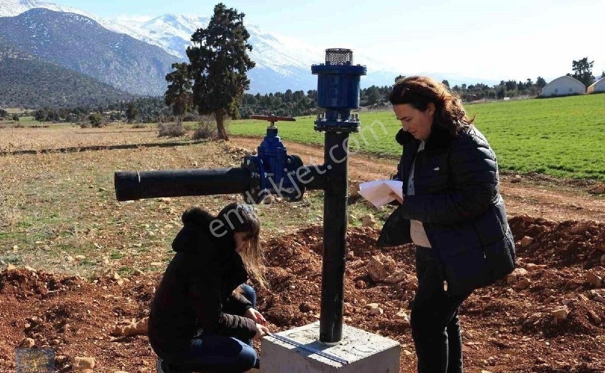 Korkuteli Yazır Satılık Bağ & Bahçe Korkuteli BEĞİŞ SUSUZDA 1.129.m2 Kupon PARSEL