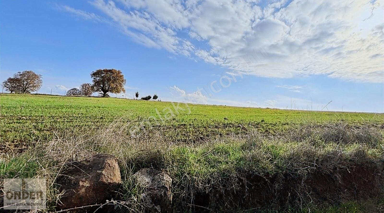 Gebze Mollafenari Satılık Sit Alanı GEBZE MOLLAFENARİ 420 M ARAZİMİZ SATILIKTIR