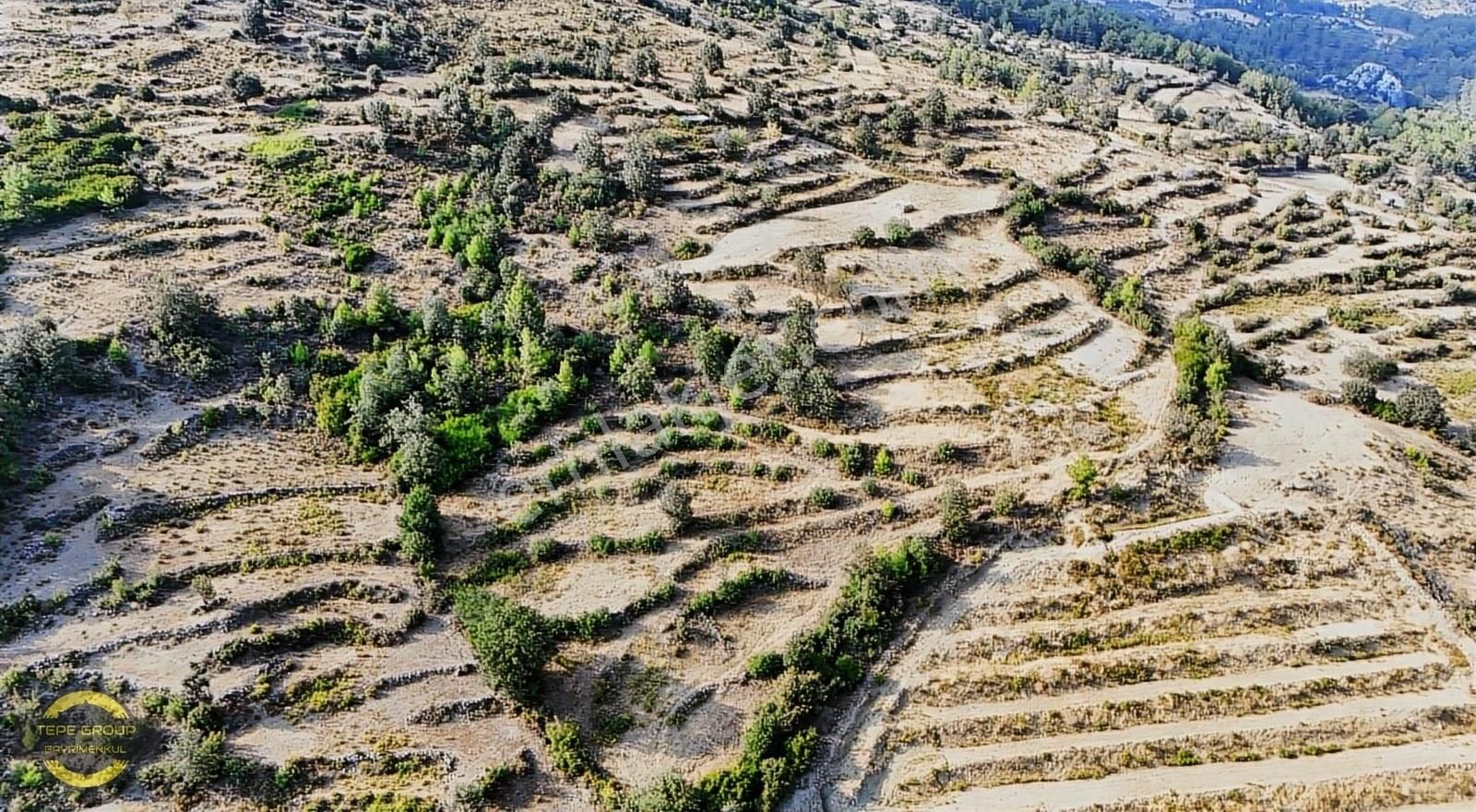 Gazipaşa Karatepe Satılık Tarla ANTALYA GAZİPAŞA KARATEPEDE 8795 M2 TEK TAPU SATILIK TARLA