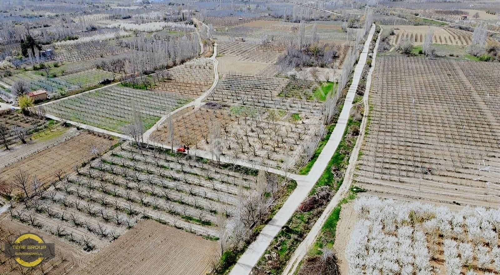 Gelendost Afşar Köyü Satılık Bağ & Bahçe GELENDOST AFŞAR'DA 775 M2 SATILIK KÖY MERKEZİNE YAKIN BAHÇE