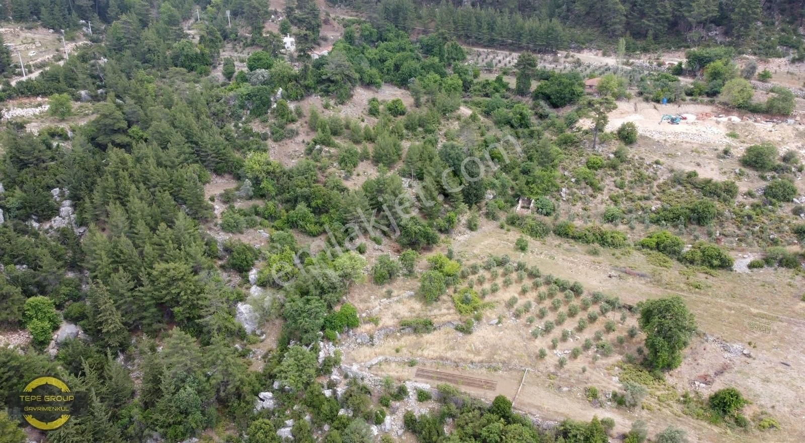 Serik Bozdoğan Satılık Tarla SERİK BOZDOĞAN YATIRIMLIK 1451 M2 RESMİ YOLU OLAN SATILIK BAHÇE