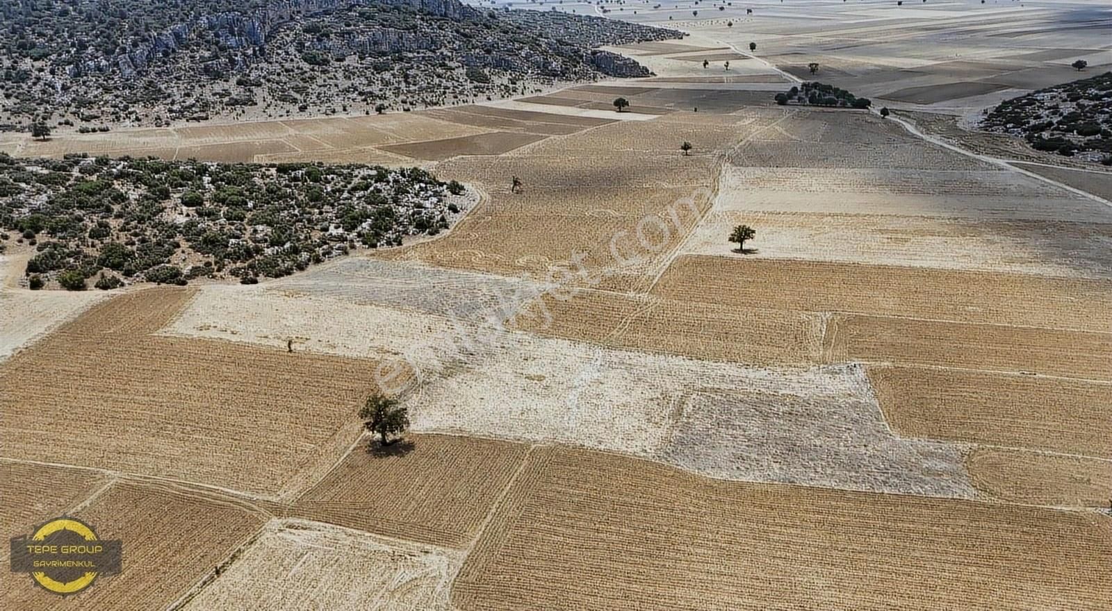 Bucak Ürkütlü Köyü (Pazar) Satılık Tarla BURDUR BUCAK ÜRKÜTLÜDE 6070 M2 TEK TAPU SATILIK TARLA