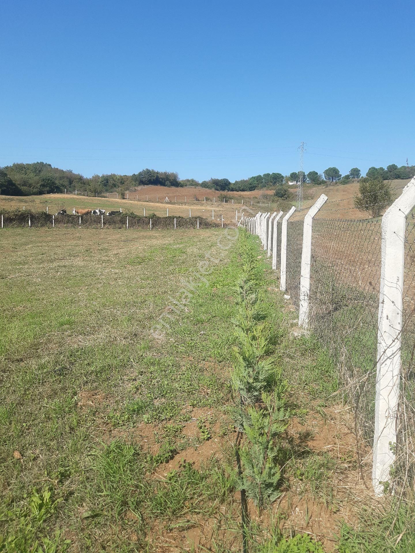 2861m² İmarlı Yapı Yapımına Müsait Arsa - Görsel 2