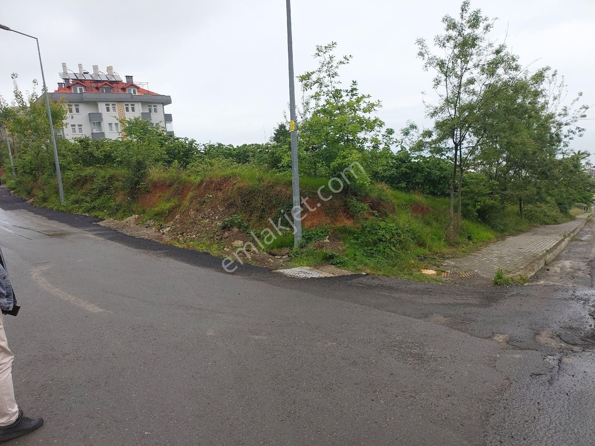 Trabzon pelitli kiralık arazi
