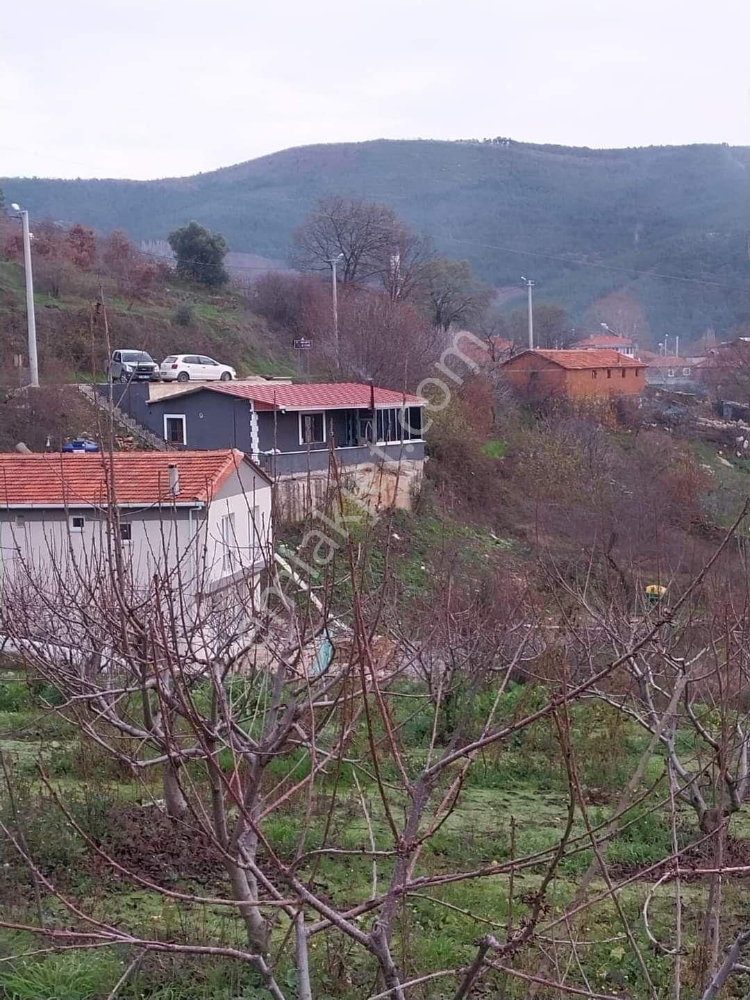 Bayındır Osmanlar Satılık Bağ & Bahçe İzmir Bayındır Osmanlar Köyünde Elektrik Suyu Numaratajı Olan Evi Olan Bahçe Satılıktır