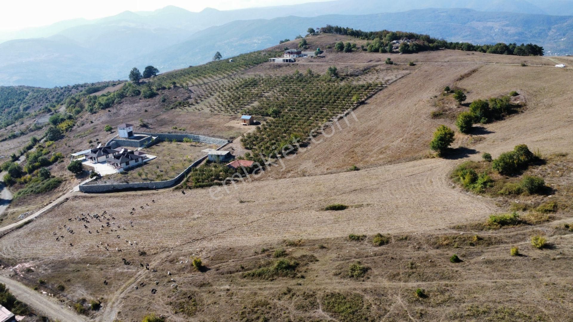 Geyve Akkaya Satılık Tarla  SAKARYA GEYVE AKKAYA' DA MANZARALI 7.896 m2 ARAZİ