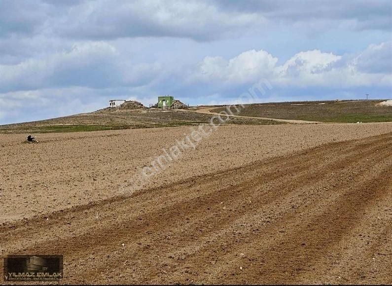 Altıntaş Üçhüyük Köyü Satılık Tarla Kütahya Altıntaş Üçhüyük Mah