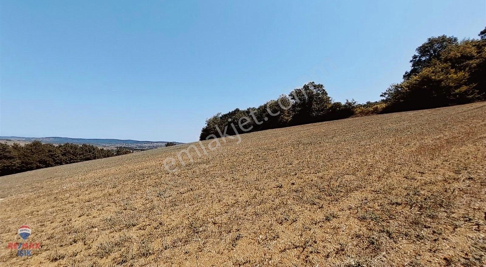 Kandıra Nasuhlar Satılık Tarla KANDIRA NASUHLAR KÖYÜNDE YATIRIMLIK TARLA