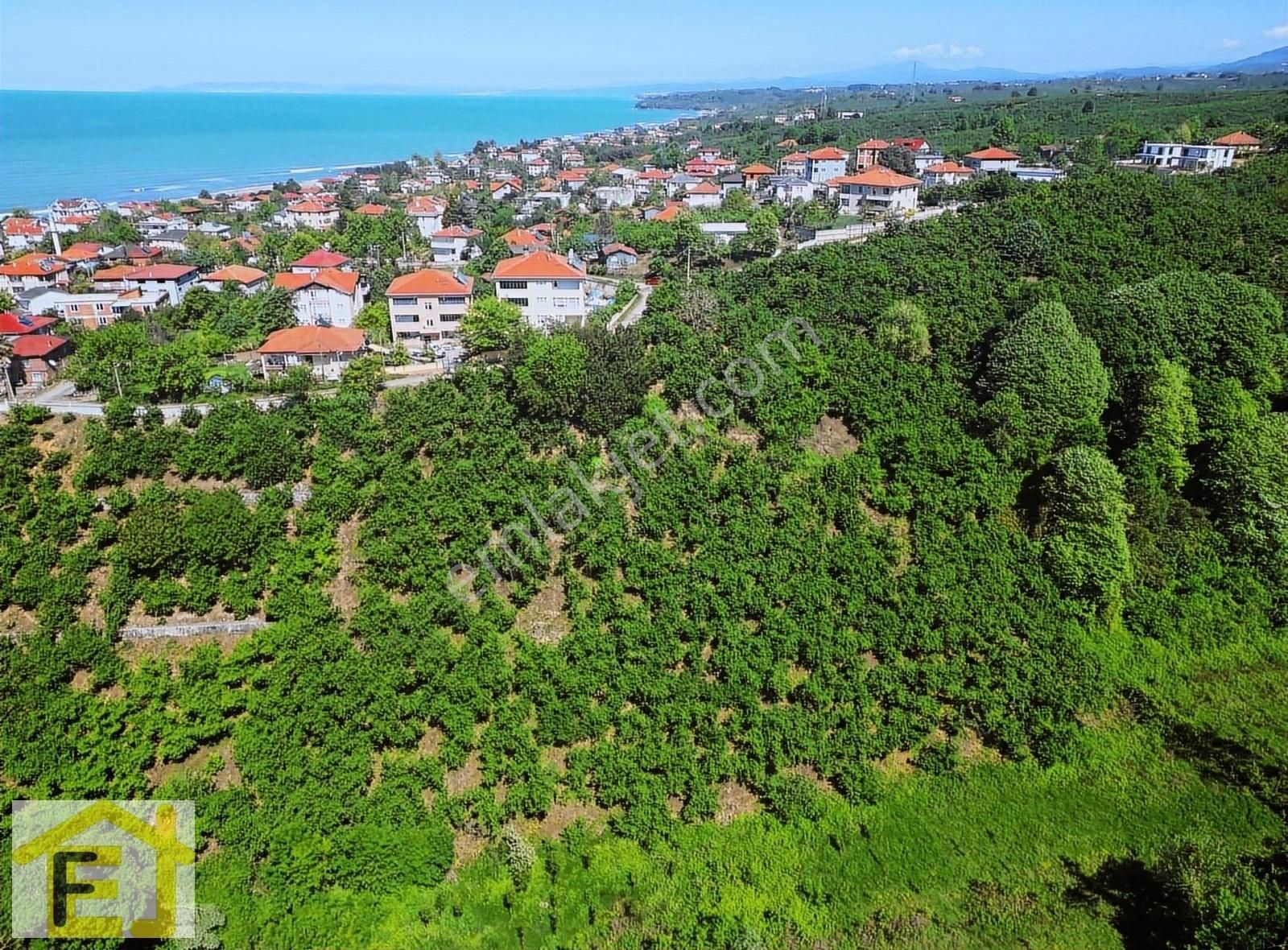 Akçakoca Melenağzı Köyü Satılık Konut İmarlı Akçakoca Melenağzın'da toplu konut yapımına uygun satılık arsa