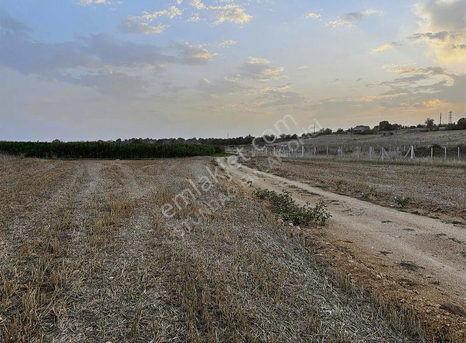 Kırklareli Merkez Asılbeyli Köyü Satılık Konut İmarlı İMARLI 5 E BÖLÜNÜYOR TAKASA AÇIKTIR