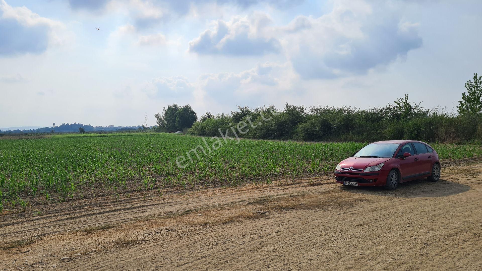 Serik Boğazkent Satılık Tarla Plaja 10 dk. müstakil tarla