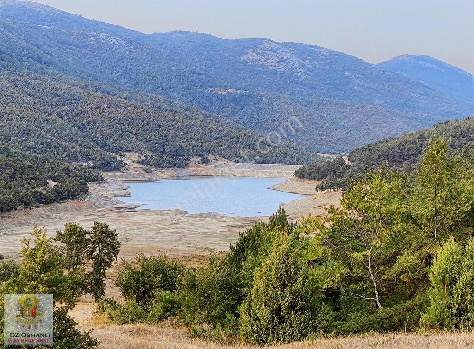 Osmaneli Oğulpaşa Köyü (Merkez) Satılık Tarla GÖL MANZARALI KAÇIRILMAYACAK YATIRIM ARAZİSİ