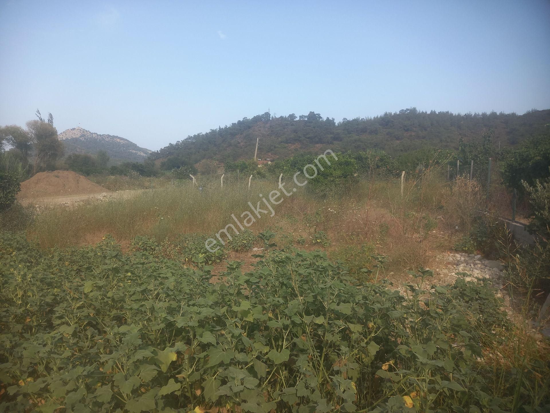 Kemer Kuzdere Satılık Bağ & Bahçe İmara Yakın Satılık Arsa