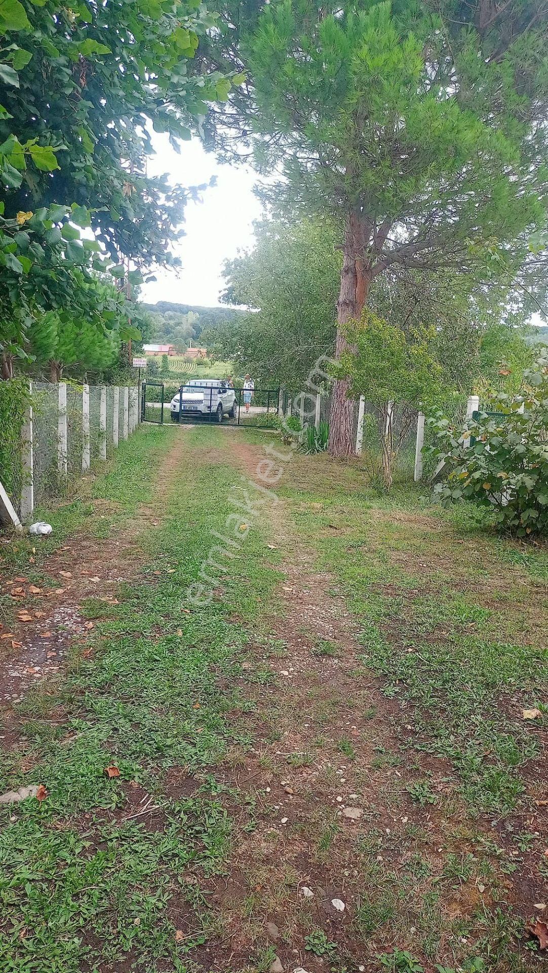 Uzungürgen Köyü Ev Bahçeli Müstakil Satılık Tarla - Görsel 4