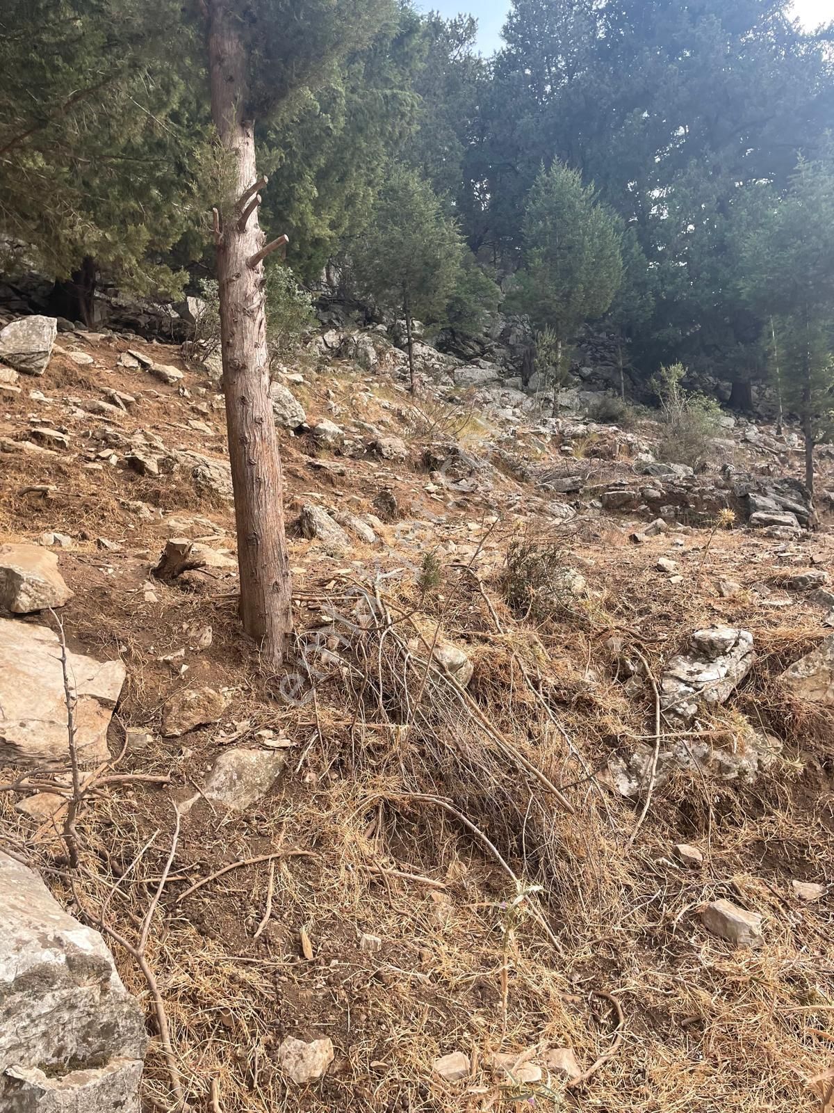 Coldwell Banker Burak Efe Den Marmaris Bayır Da Tarla - Görsel 2