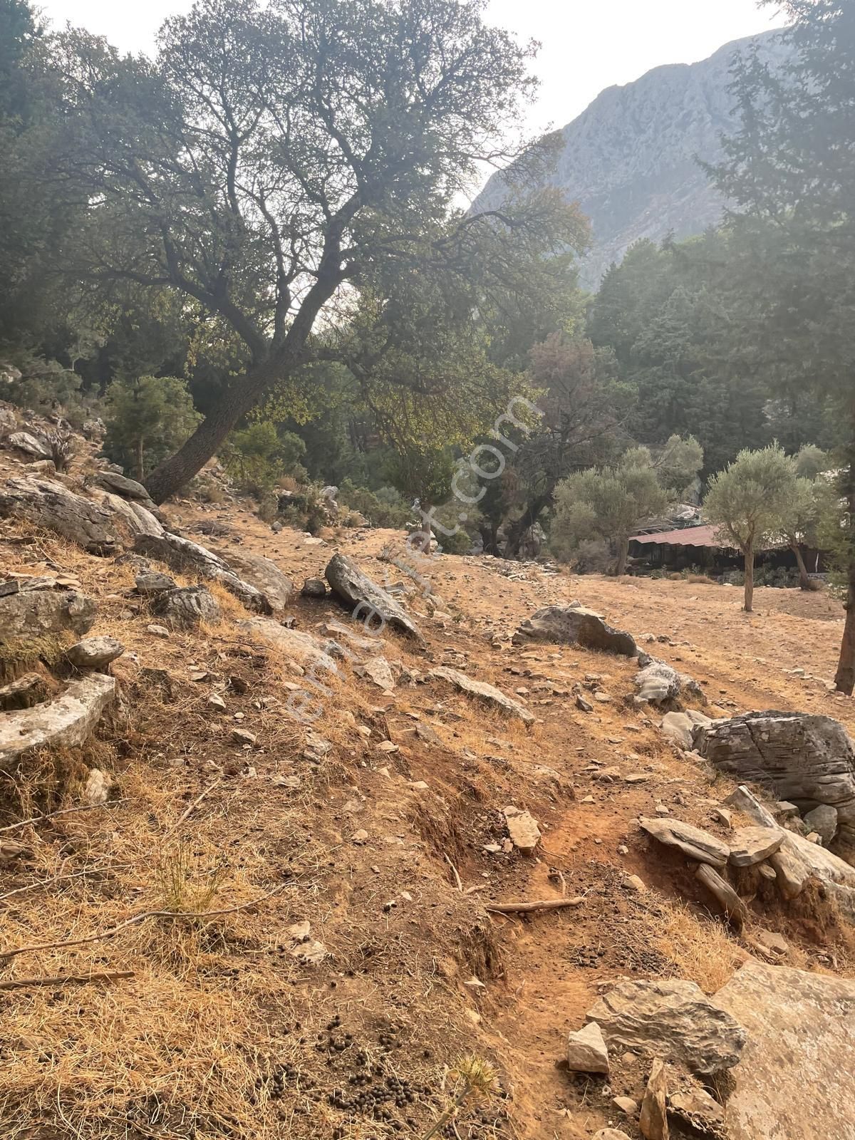 Coldwell Banker Burak Efe Den Marmaris Bayır Da Tarla - Görsel 17