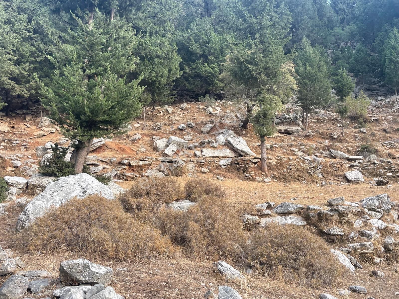 Coldwell Banker Burak Efe Den Marmaris Bayır Da Tarla - Görsel 5