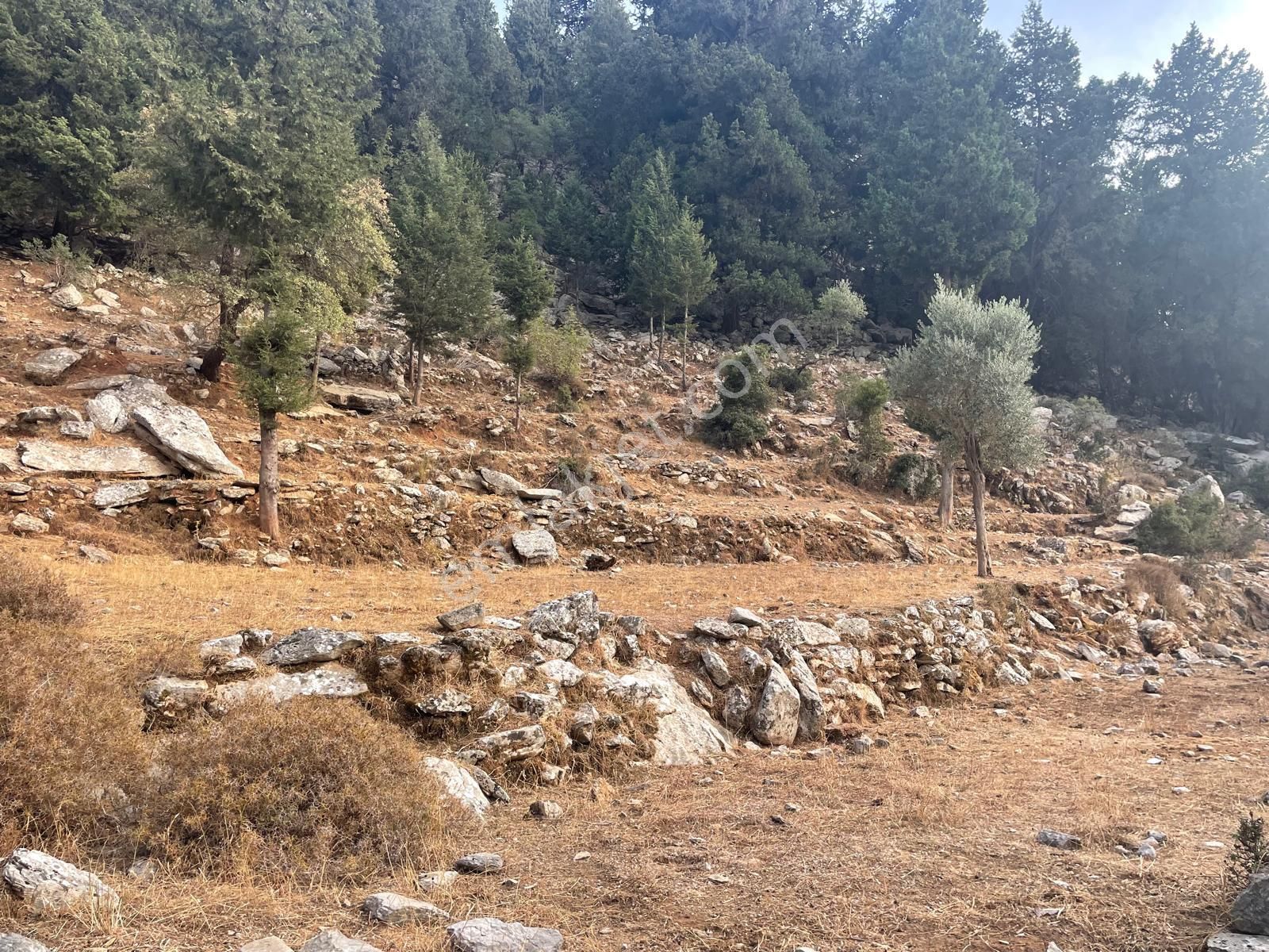 Coldwell Banker Burak Efe Den Marmaris Bayır Da Tarla - Görsel 19