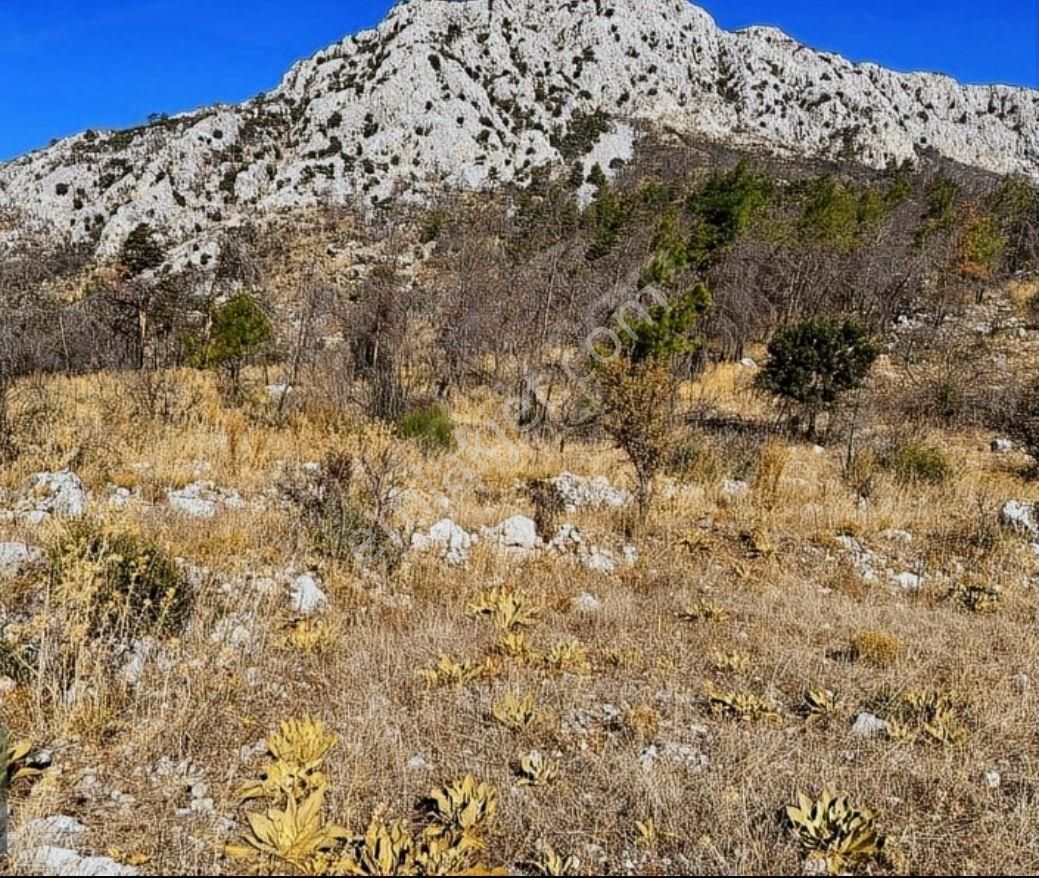 Coldwell Banker Burak Efe Den Marmaris Bayır Da Tarla - Görsel 7